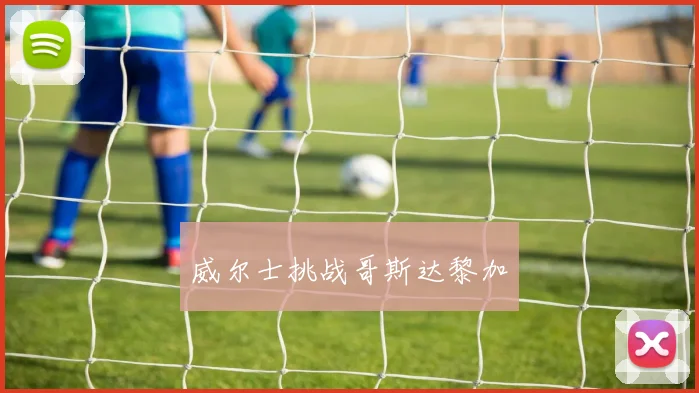 威尔士挑战哥斯达黎加