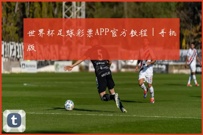 世界杯足球彩票APP官方教程｜手机版