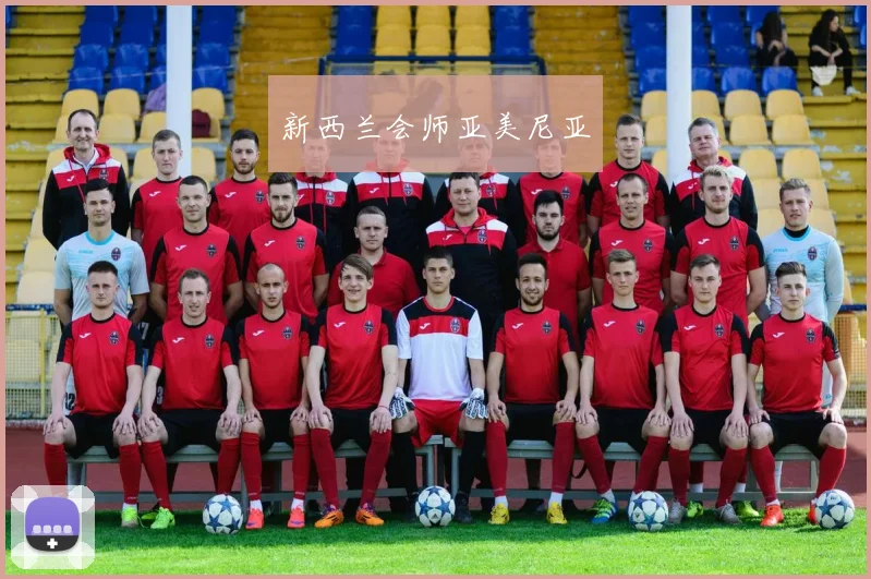 新西兰会师亚美尼亚