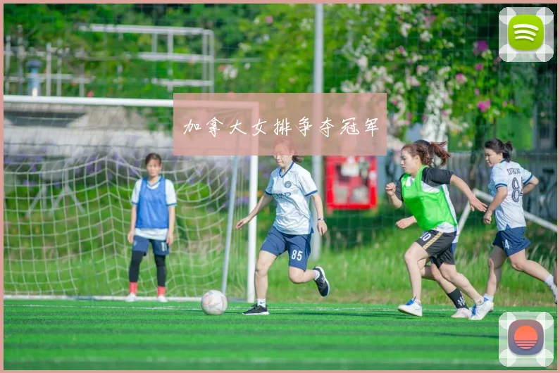 加拿大女排争夺冠军