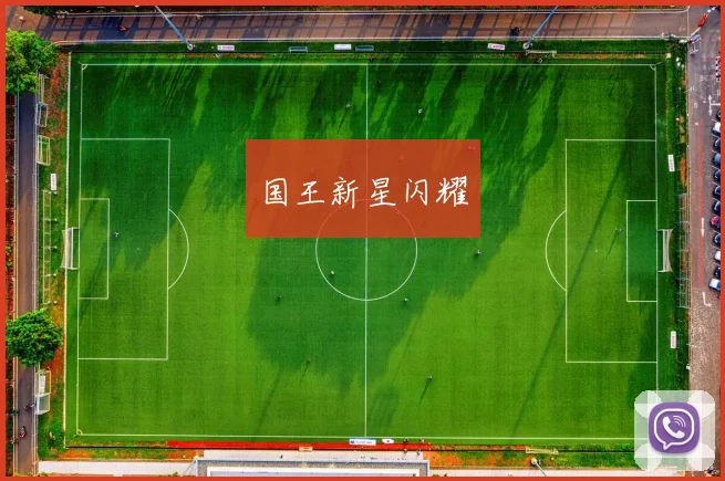 国王新星闪耀