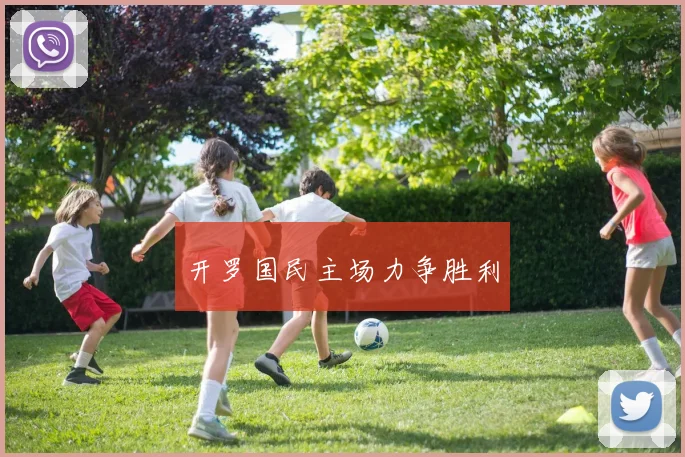 开罗国民主场力争胜利