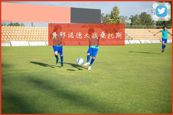 费耶诺德大战桑托斯