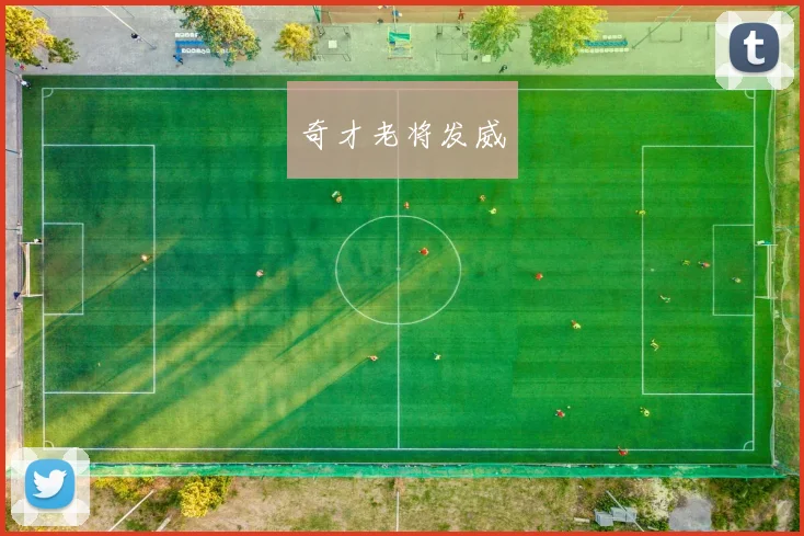奇才老将发威