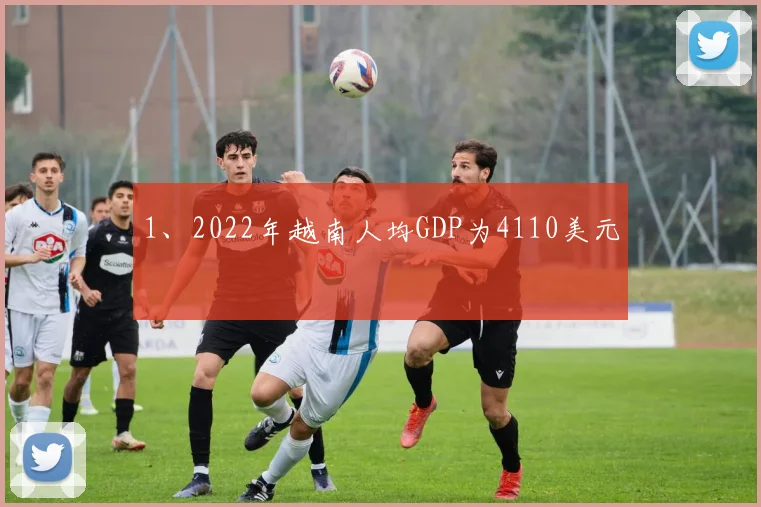 1、2022年越南人均GDP为4110美元