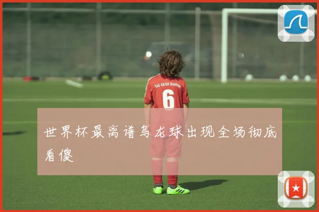 世界杯最离谱乌龙球出现全场彻底看傻