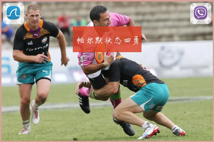 帕尔默状态回勇