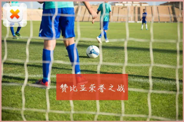 赞比亚荣誉之战