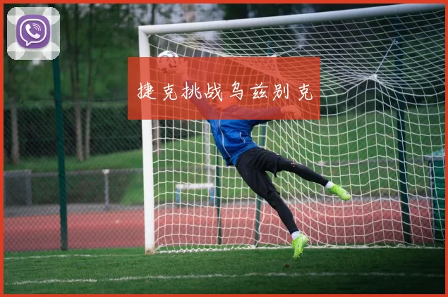 捷克挑战乌兹别克