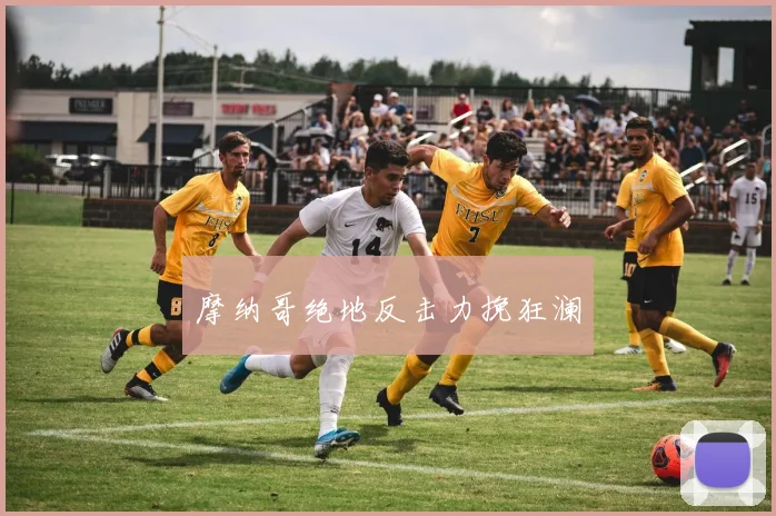 摩纳哥绝地反击力挽狂澜