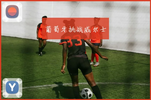 葡萄牙挑战威尔士