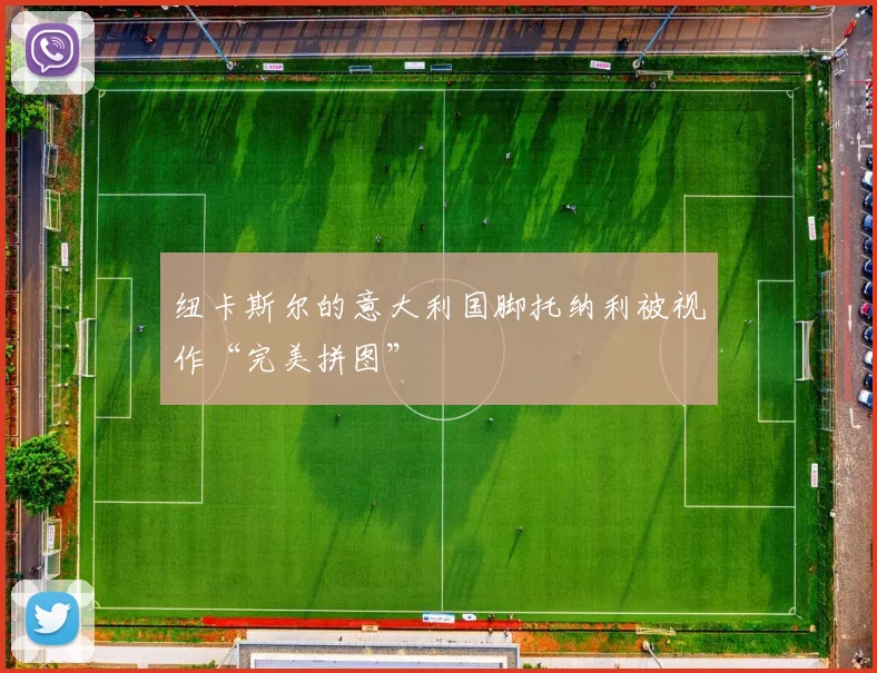 纽卡斯尔的意大利国脚托纳利被视作“完美拼图”