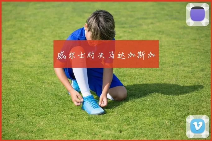 威尔士对决马达加斯加