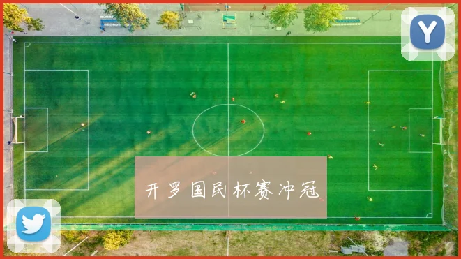 开罗国民杯赛冲冠