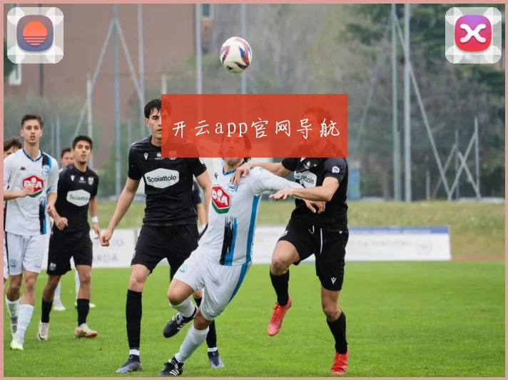 开云app官网导航
