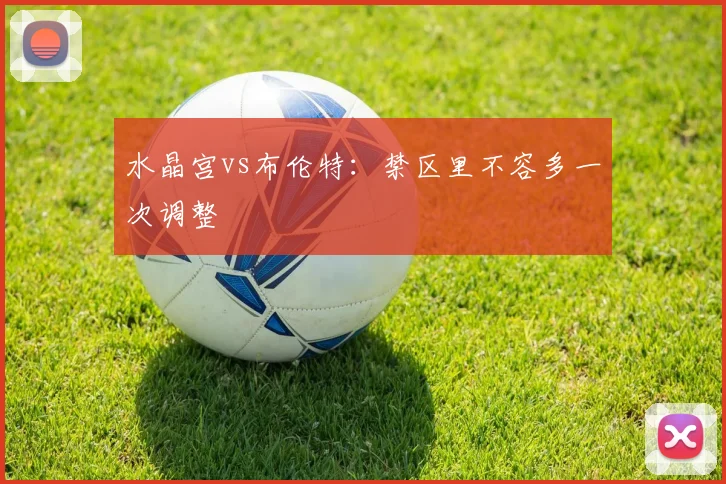 水晶宫vs布伦特:禁区里不容多一次调整