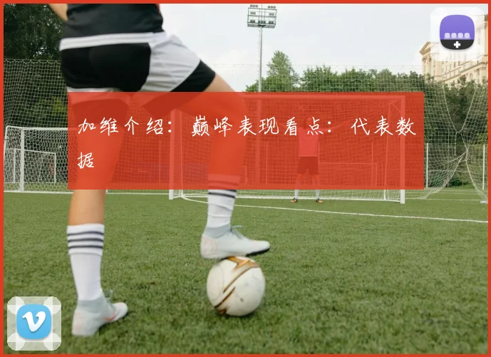 加维介绍：巅峰表现看点：代表数据