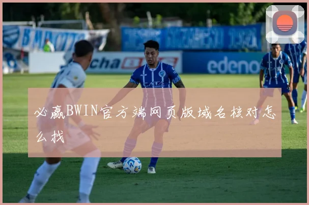 必赢BWIN官方端网页版域名核对怎么找